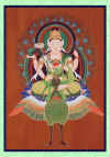 peacock4.jpg (75564 bytes)